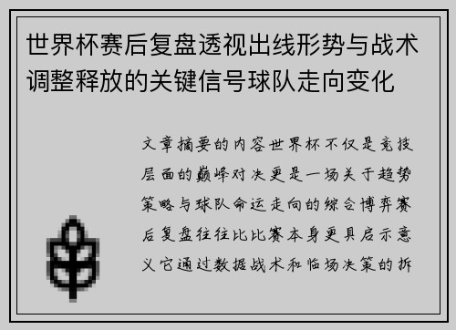 世界杯赛后复盘透视出线形势与战术调整释放的关键信号球队走向变化